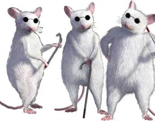 Крысы из Шрека