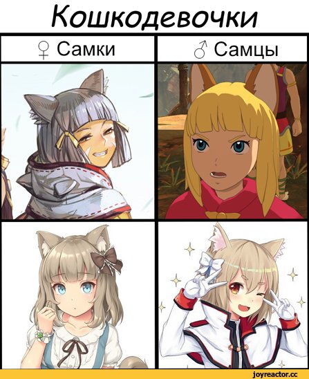 Кошкодевочки генная инженерия