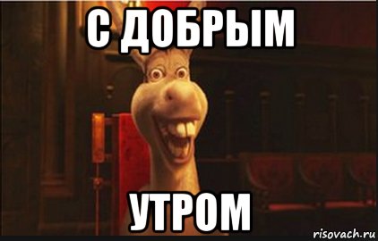 Доброе утро осел