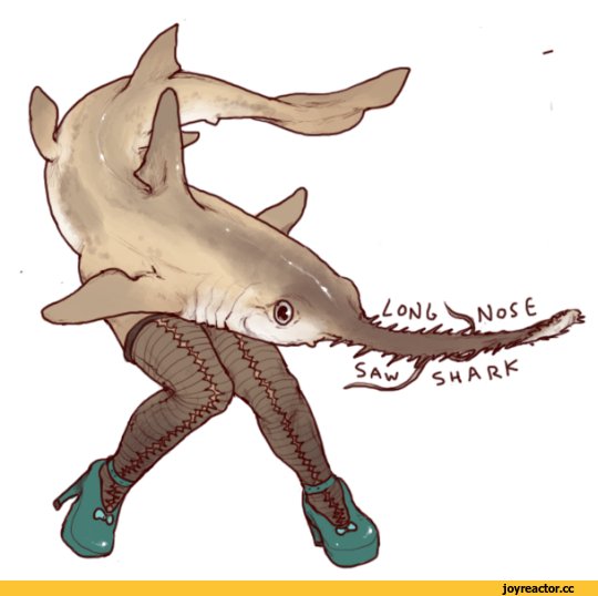 Аниме акула