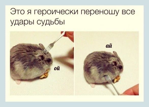 Хомяк и вилка ай Мем