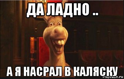Осел из Шрека Мем