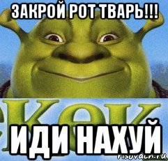 Мемы со Шреком без надписей
