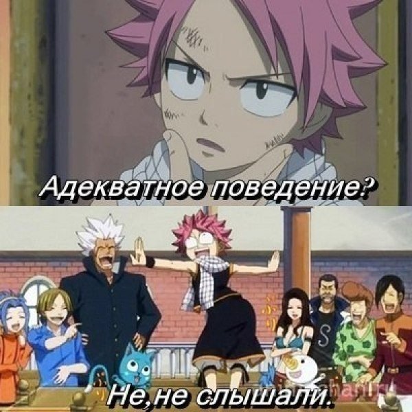 Хвост феи мемы