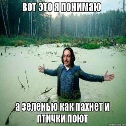 Мемы про Петра