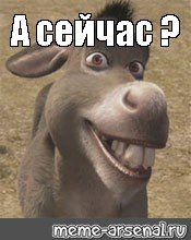 Осел а сейчас
