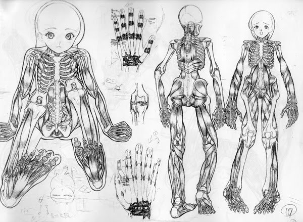 Анатомия аниме девушки