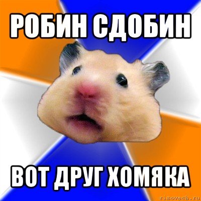 Смешные мемы про хомяков