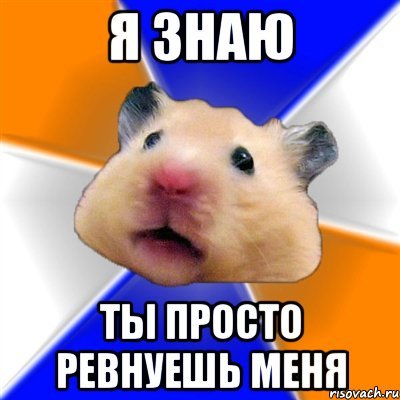 Хомячок Мем