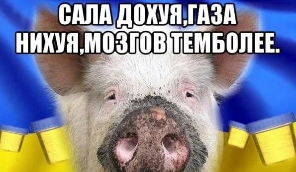 Оскорбление Украины