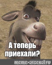 Осел из Шрека уже приехали