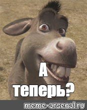 Осел а сейчас