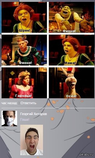 Шрек Фиона Гарольд мама Мем