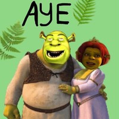 Мемы Шрек и Фиона