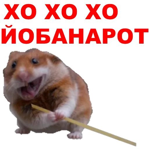 Хомяк с надписью