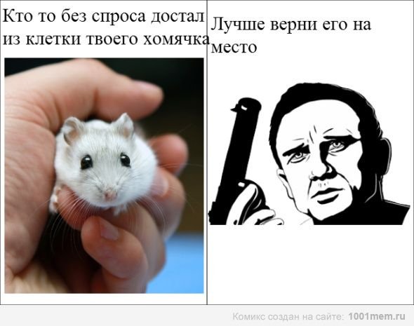 Анекдоты про хомяков
