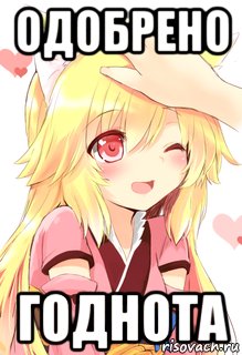 Одобряю Мем