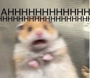 Хомяк пугается