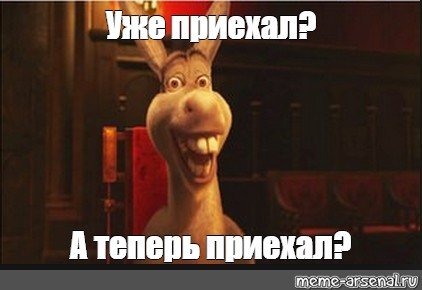 Осел Шрек мы уже приехали