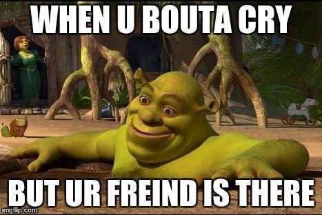 Шрек заебумба без надписи