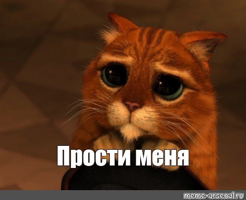 Кот с большими глазами "прости"!