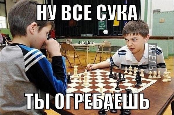 Шутки про шахматы