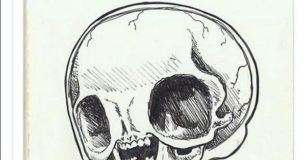 Строение черепа в аниме