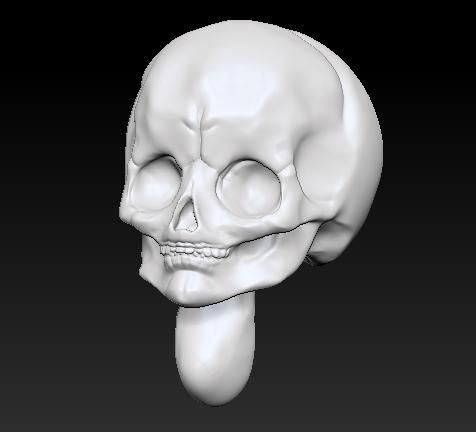 Аниме череп анатомия