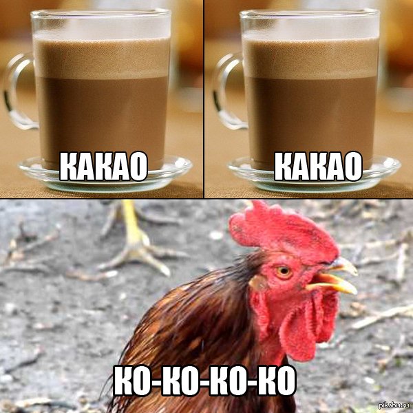 Какао прикол