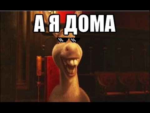 Осел из Шрека Мем