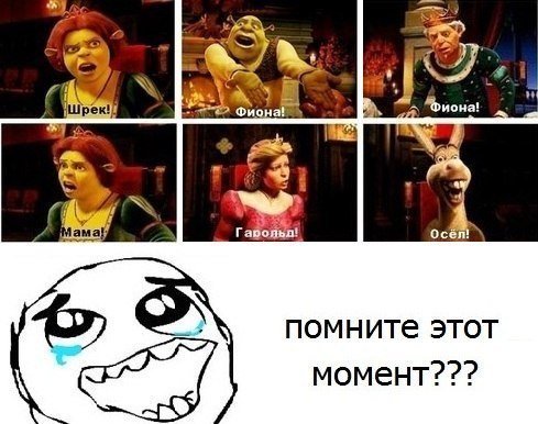Мем Шрек Фиона