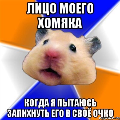 По химии задали Мем хомяк