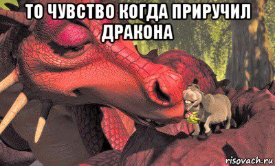 С ослом из шрека и драконом