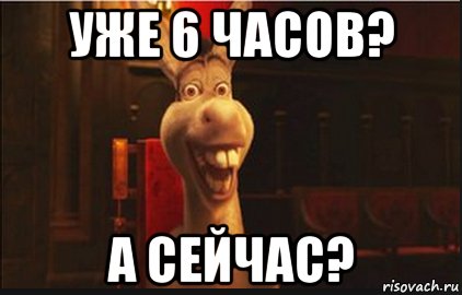 Уже приехали