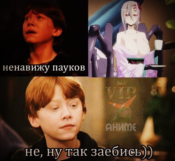 Мемы с пауками