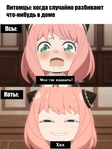 Семья шпиона аниме Аня улыбается