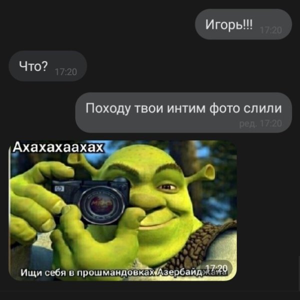 Шрек с фотоаппаратом Мем