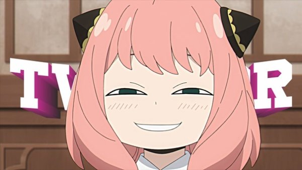 Семья шпиона Аня Мем