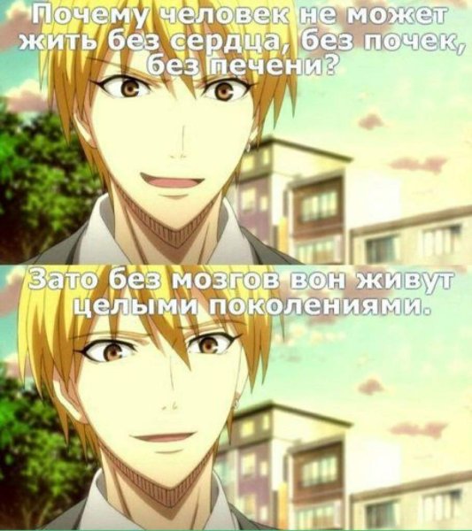 Анимеимемы новогодние