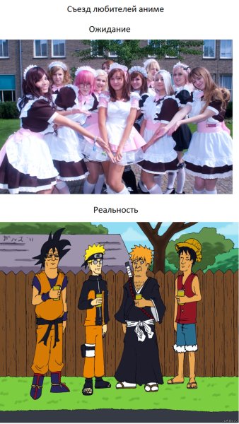 Анимешник ожидание реальность