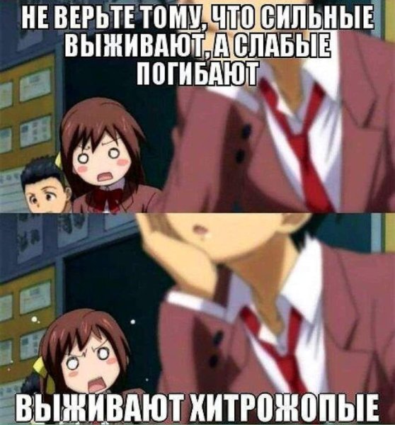 Аниме мемы