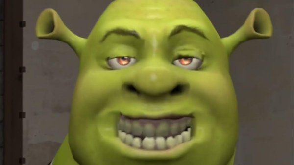 Шрек флексит