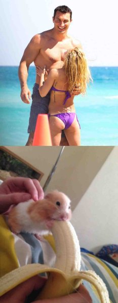 Хомячок и банан