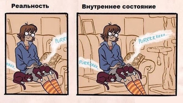 Социофобный интроверт