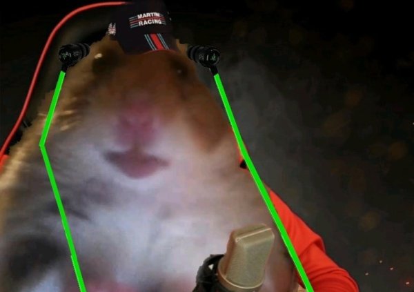 Хомяк в скайпе