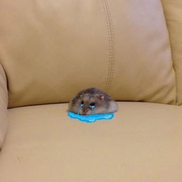 Грустный хомяк