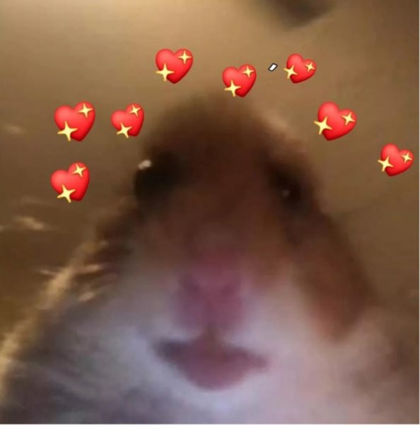 УГАРНЫЙ хомяк