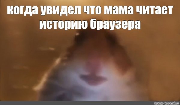 Хомячки мемы