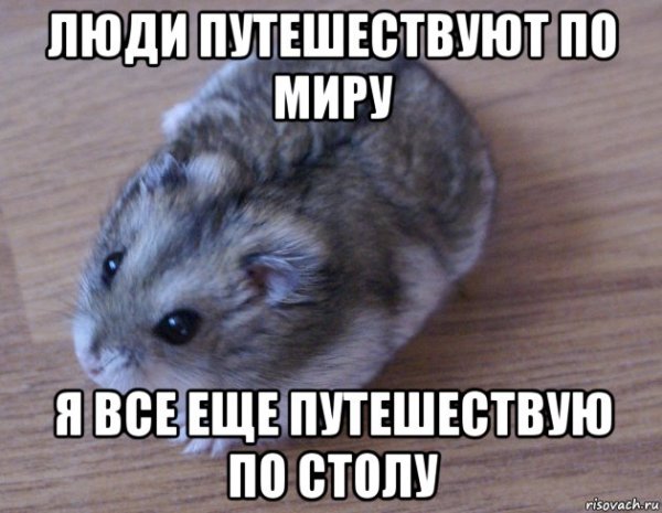 Хомячок Мем