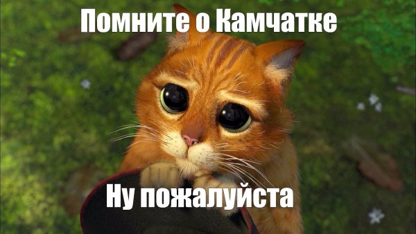 Кот из Шрека просит прощения